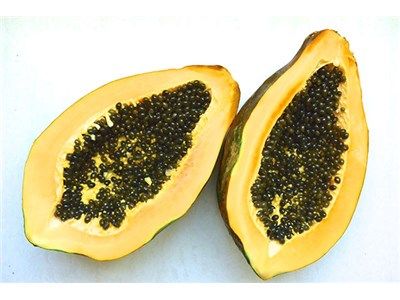 como cultivar papaya maradol